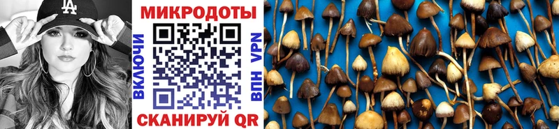 Галлюциногенные грибы прущие грибы  Буинск 