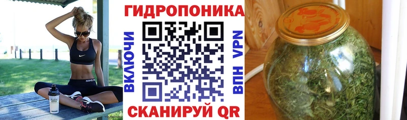 Каннабис сатива  как найти   Буинск 